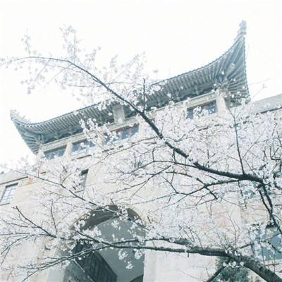 “功夫——中央美术学院造型学科基础部成立二十周年展·南昌巡展”在江西省美术馆开幕